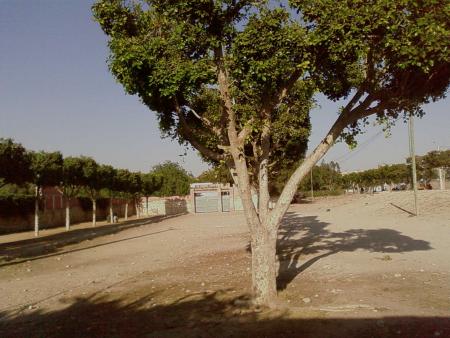lycée brahim lkhbbaz